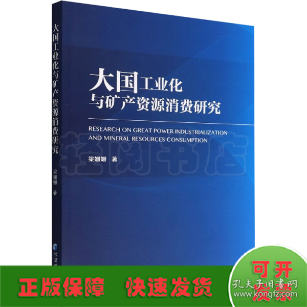 大国工业化与矿产资源消费研究