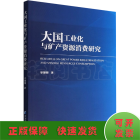 大国工业化与矿产资源消费研究