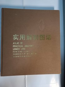 实用解剖图谱（四肢分册，下肢）