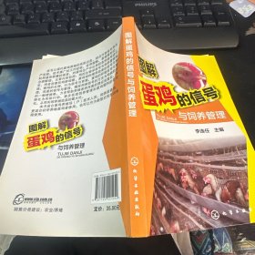 图解蛋鸡的信号与饲养管理