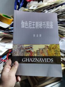 伽色尼王朝硬币图鉴