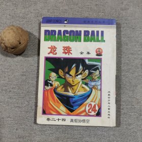 龙珠全集 卷24