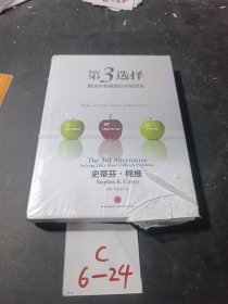 第3选择：解决所有难题的关键思维