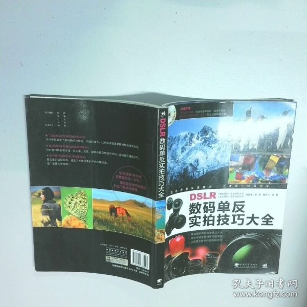 数码单反实拍技巧大全  雷依里 中国青年出版社