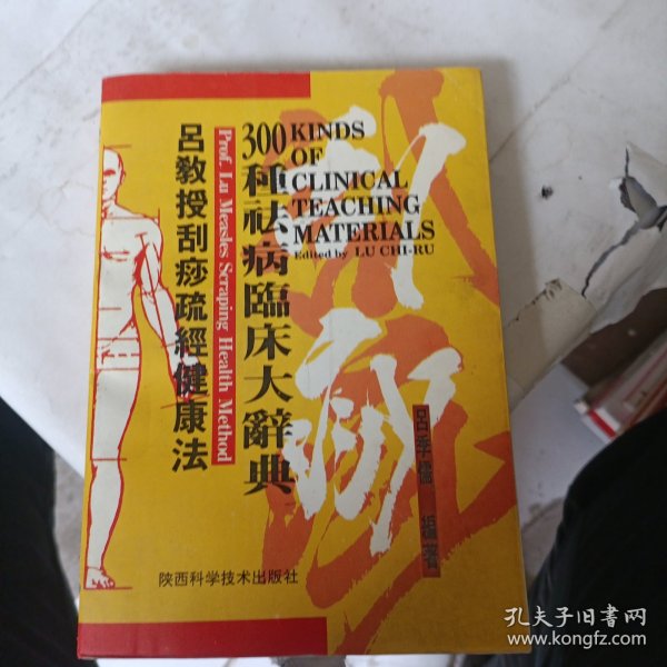 吕教授刮痧疏经健康法——300种祛病临床大辞典