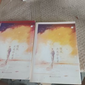 他从火光中走来（上下两册）