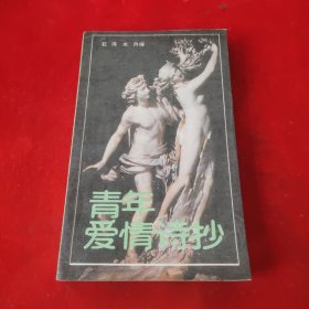 青年爱情诗抄