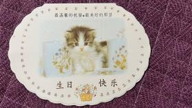 贺卡～可爱猫咪20