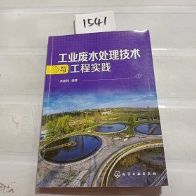 工业废水处理技术与工程实践