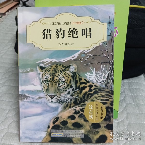 中外动物小说精品（升级版）：猎豹绝唱