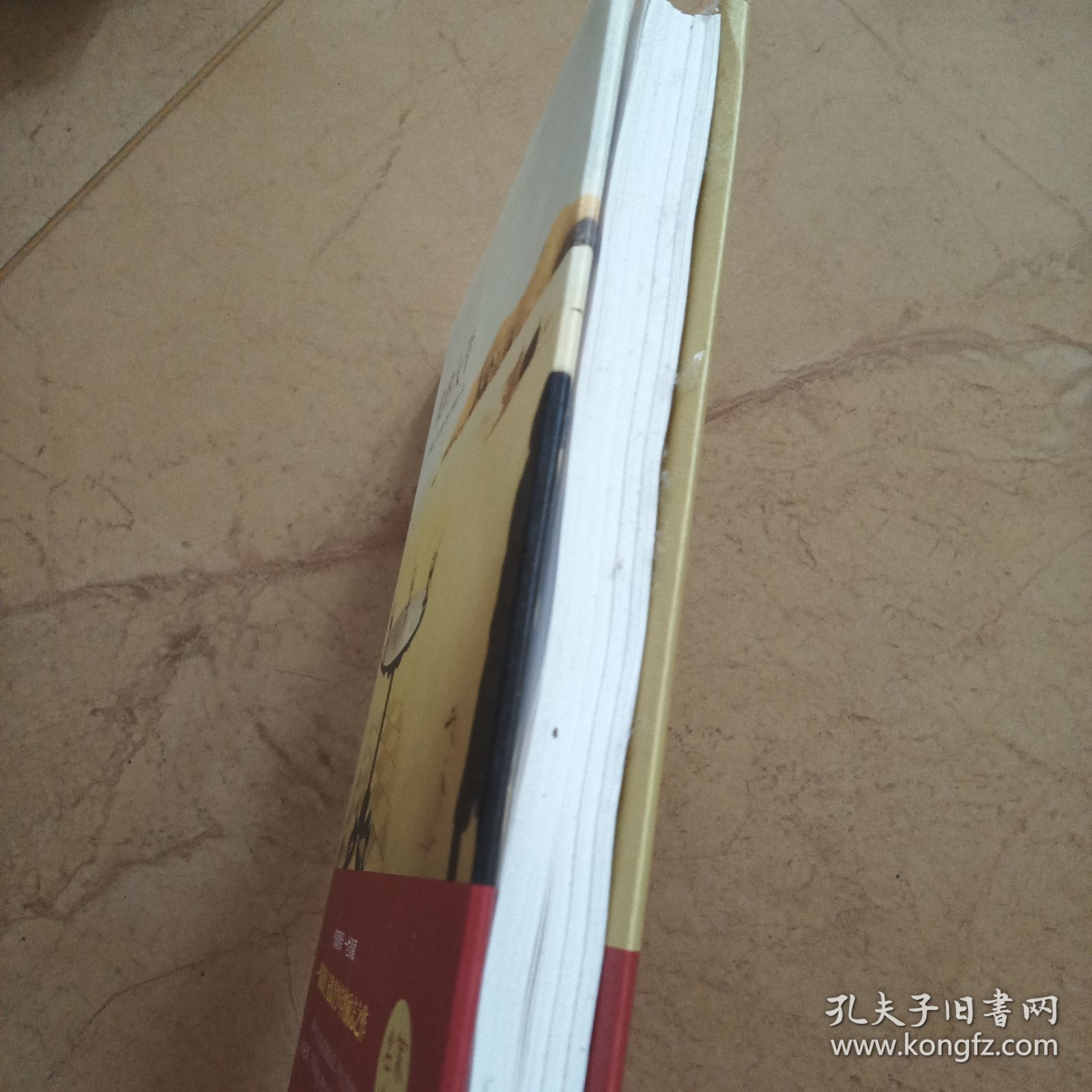 我的大学