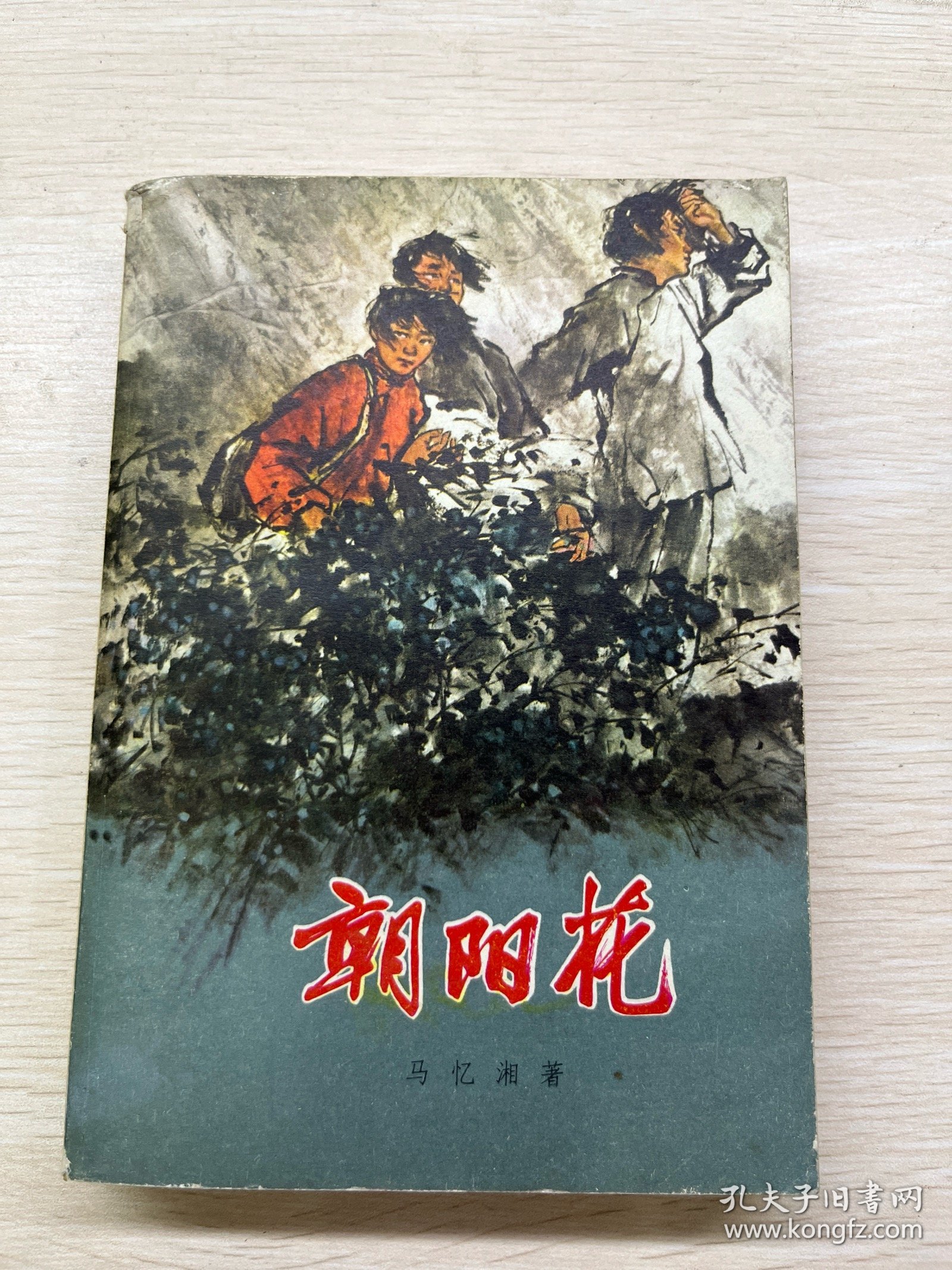 朝阳花（马忆湘著）1980年北京12印（正版如图、内页干净）