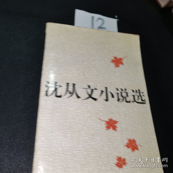 沈从文小说选(上下)