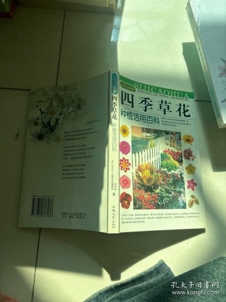 拈花惹草系列：四季草花种植活用百科