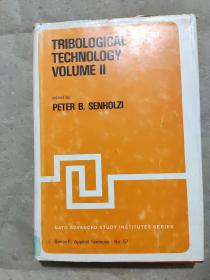 英文书：TRIBOLOGICAL TECHNOLOGY VOLUME II/摩擦学技术第二卷