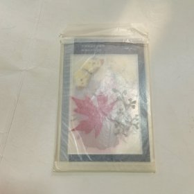 霞光鸟影 标本 （6张）