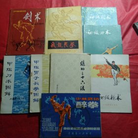 体育运动丛书，刀,剑,棍,拳,枪9本合售