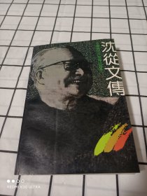 沈从文传