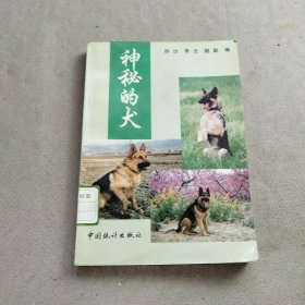 神秘的犬