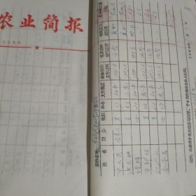 兰溪市农业经济实体资料一（油印本）