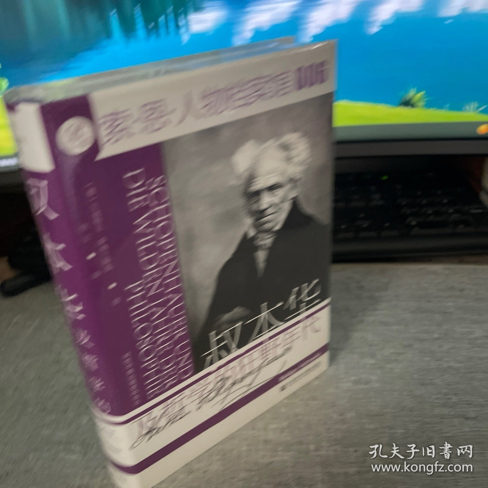索恩丛书·叔本华及哲学的狂野年代