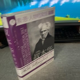 索恩丛书·叔本华及哲学的狂野年代