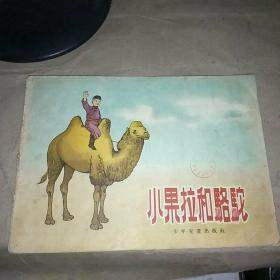 小果拉和骆驼（56年一版一印）