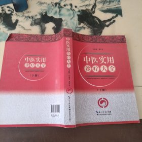 中医实用诊疗大全（下）