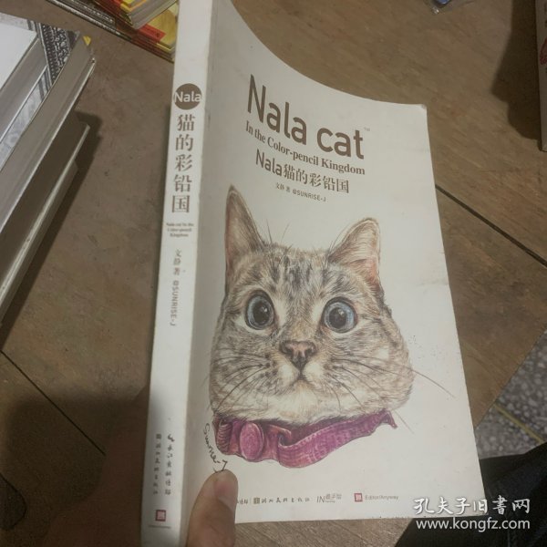 Nala猫的彩铅国