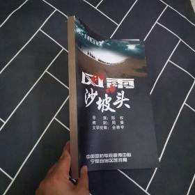 三十集电视连续剧 风雨沙坡头【内页干净 实物拍摄 无笔记】