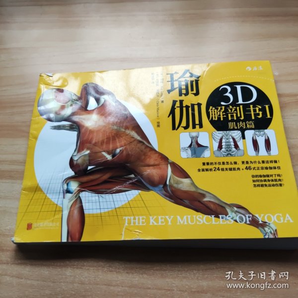 瑜伽3D解剖书I：肌肉篇