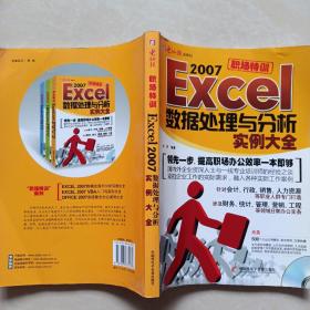 Excel2007数据处理与分析实例大全