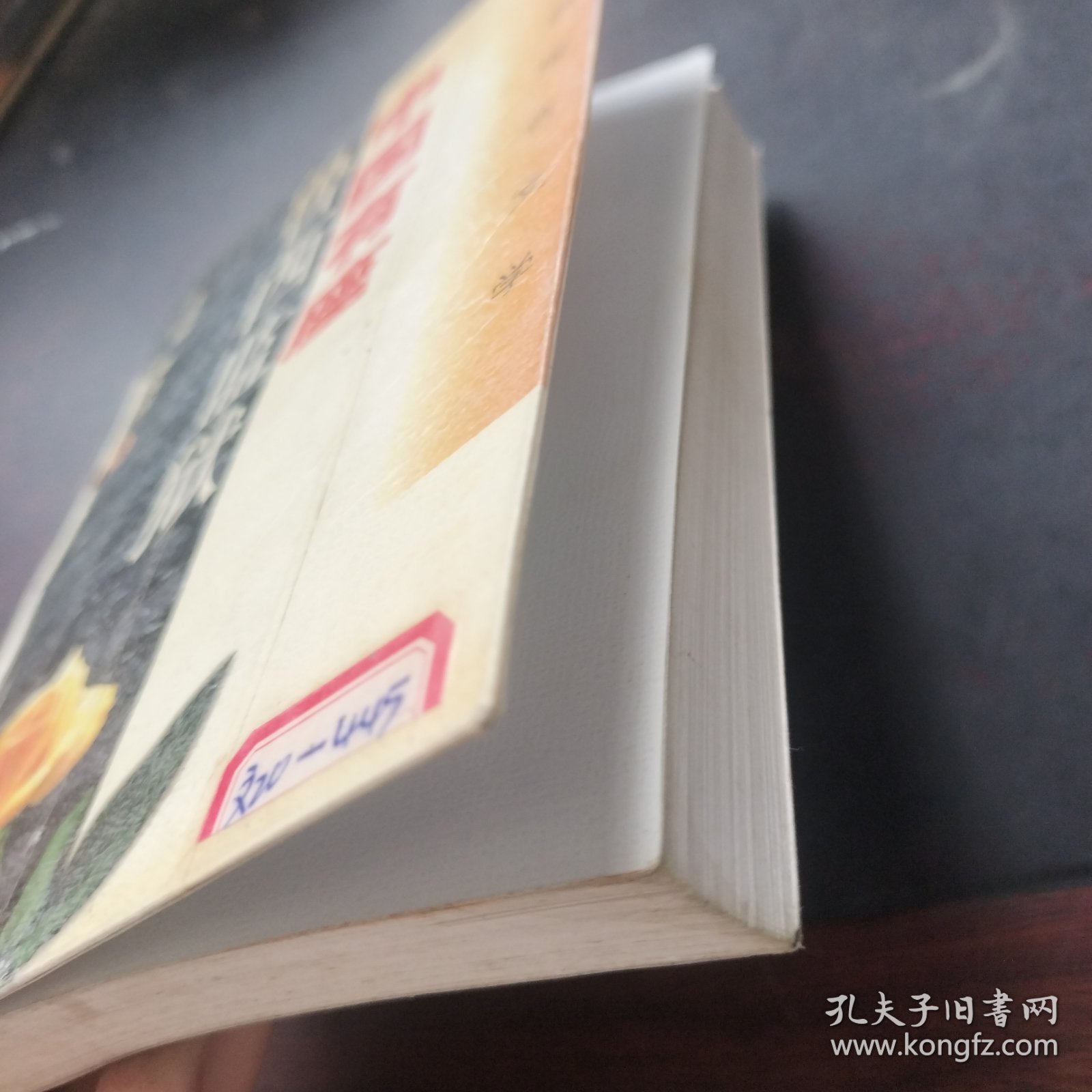 中国有座鲁西监狱: 长篇报告文学