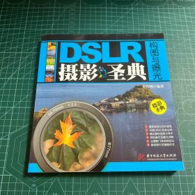 DSLR摄影圣典