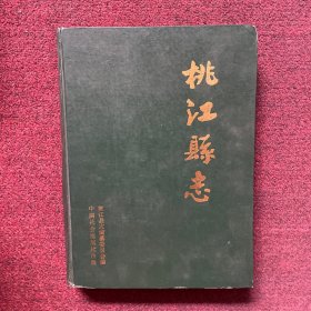 桃江县志