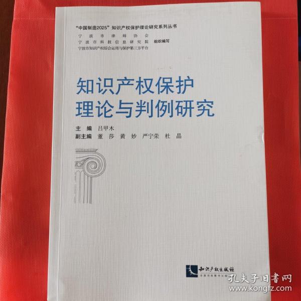 知识产权保护理论与判例研究