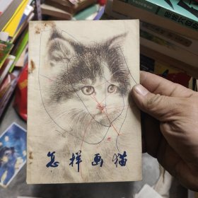 怎样画猫 1-1架