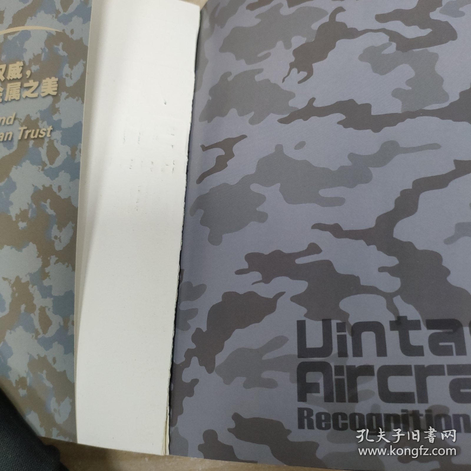 简氏早期经典战机鉴赏指南