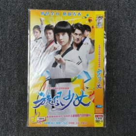影视光盘DVD：旋风少女 1碟装