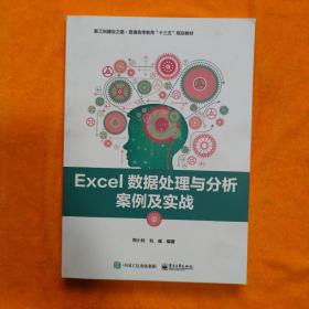 Excel数据处理与分析案例及实战