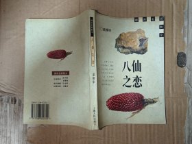 八仙之恋