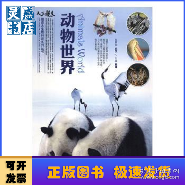 动物世界