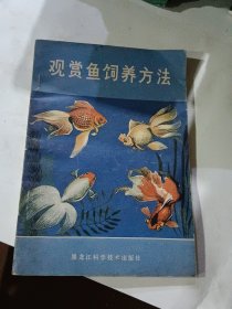 观赏鱼饲养方法