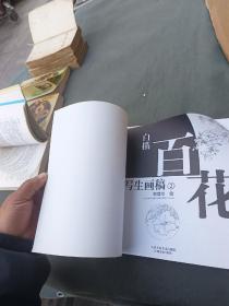 白描百花写生图稿1 2