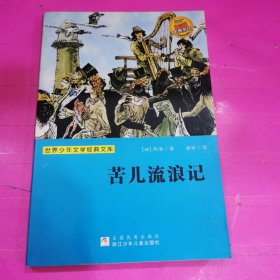 世界少年文学经典文库：苦儿流浪记