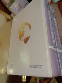 新形势下检察官工作必备全书. 下卷