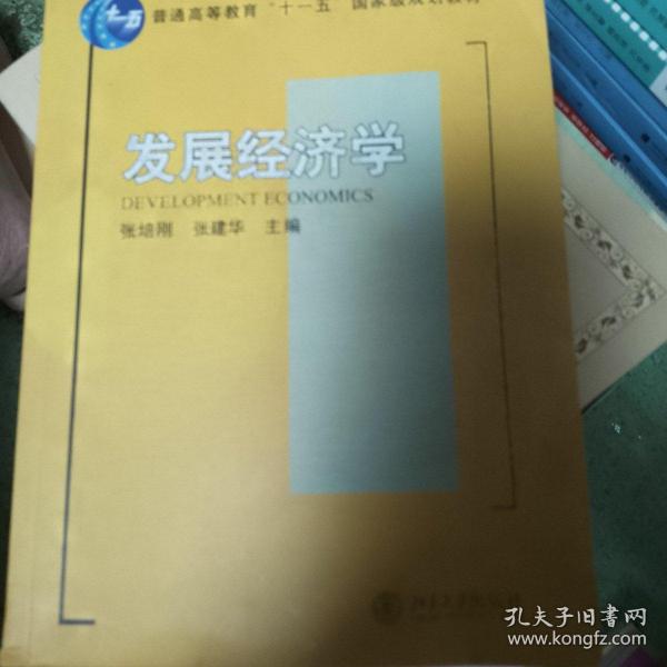 发展经济学/普通高等教育“十一五”国家级规划教材·21世纪经济与管理规划教材·经济学系列