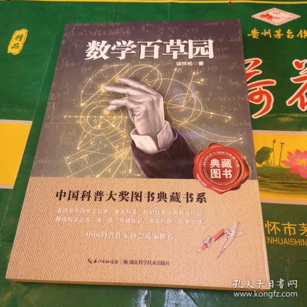 中国科普大奖图书典藏书系：数学本草园