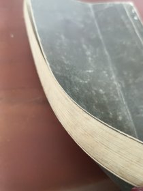 醉杏楼下山河泪