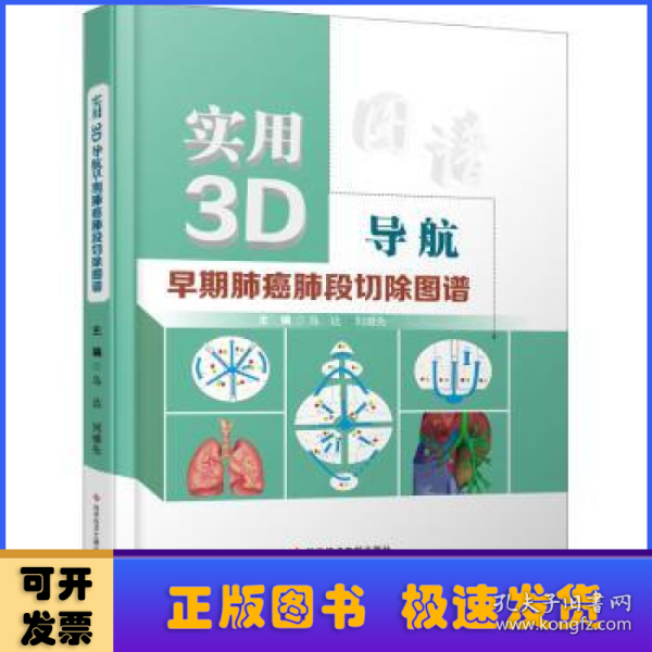 实用3D导航早期肺癌肺段切除图谱